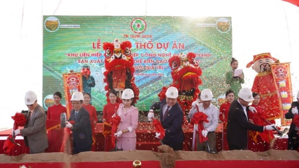 Khởi động dự án trồng 1.000ha cây cao lương hấp thụ carbon