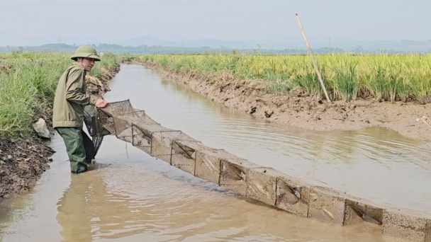 Ứng dụng công nghệ, gọi tôm cá về đồng ruộng