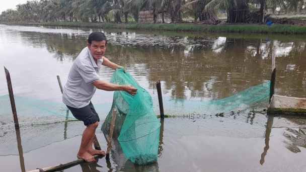 Đổi đời nhờ nuôi tôm trên đất lúa