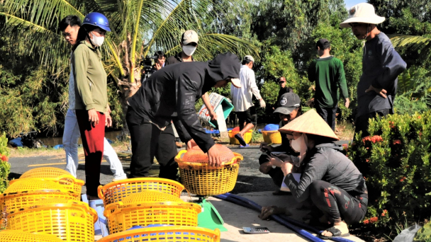 Sản lượng tôm nước lợ, cua biển nuôi tăng mạnh
