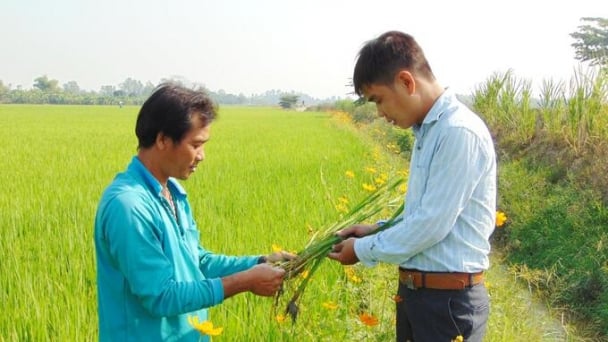 Truyền thông tạo cảm hứng để nông dân thay đổi
