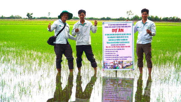 Quản lý sản xuất lúa hữu cơ, giảm phát thải qua vệ tinh