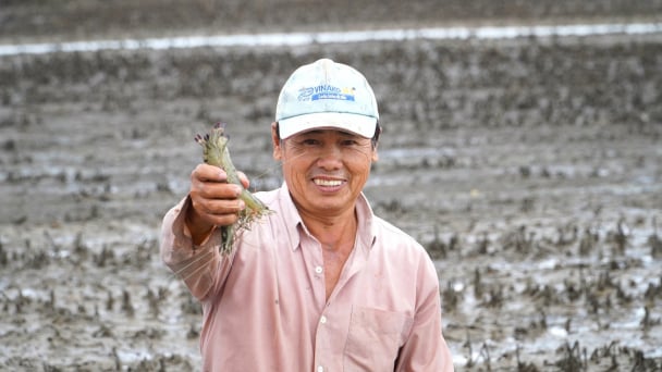 Nông nghiệp hữu cơ đang phát triển nhanh ở ĐBSCL