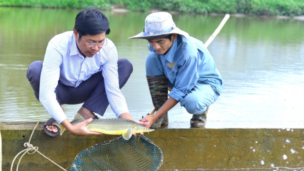 Khoa học giúp phát triển sôi động ngành nuôi cá nước lạnh