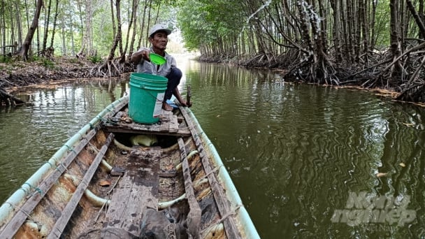 Nuôi cua biển theo hướng VietGAP