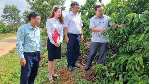 Agribank tiếp tục đồng hành cùng Đề án phát triển vùng nguyên liệu đạt chuẩn