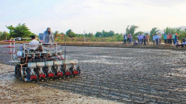 Chuyển đổi sản xuất lúa từ 3 vụ sang 2 vụ/năm để tăng sức khỏe đất