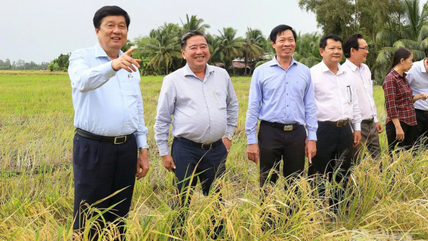 Kinh tế tập thể thúc đẩy sản xuất hàng hóa lớn