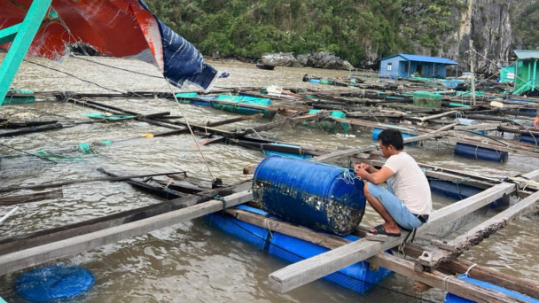 Sớm khôi phục nuôi trồng thủy sản sau bão