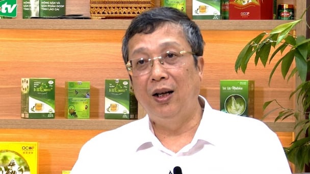 Thứ trưởng Hoàng Trung và những kỳ vọng với ngành chè