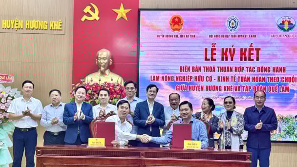 Tập đoàn Quế Lâm hợp tác sản xuất, tiêu thụ sản phẩm nông nghiệp hữu cơ