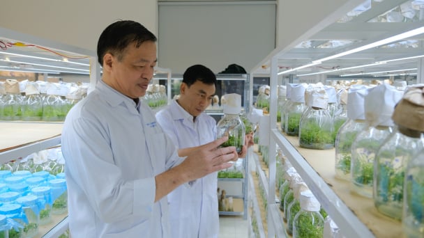GS.TS Võ Đại Hải: Báo Nông nghiệp và Môi trường là người bạn đồng hành của các nhà khoa học