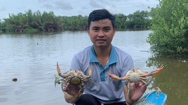 Bảo hộ thương hiệu cua biển Trà Vinh
