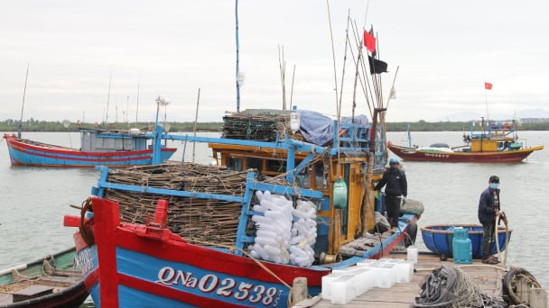 Khó khăn trong quản lý nhóm tàu câu, chụp mực khơi