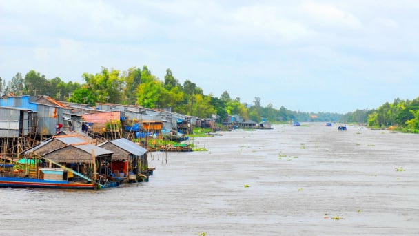 Tứ giác Long Xuyên, từ phèn chua hoang hóa thành vựa lúa chất lượng cao