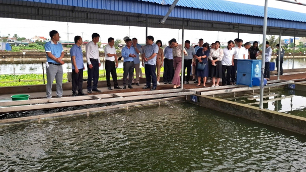 Người nuôi thủy sản chưa yên tâm về chất lượng giống