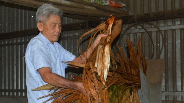 Lão nông biến mo cau, tàu dừa thành phân hữu cơ