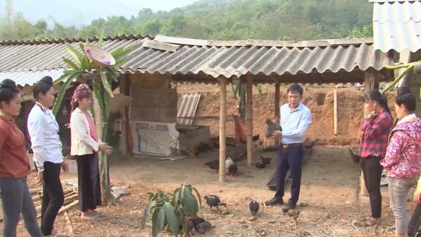 Khơi dậy ý chí, động lực làm giàu cho hội viên nông dân