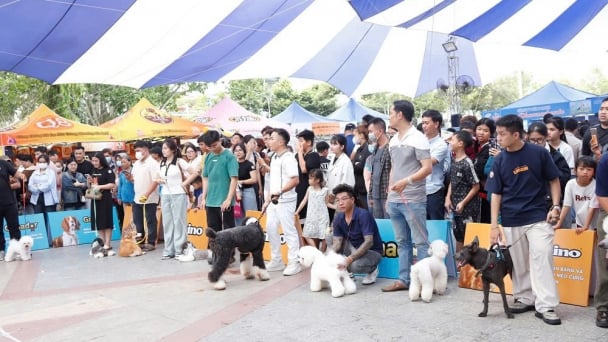 Hơn 1.000 người tham dự ngày hội thú cưng ở Tiền Giang