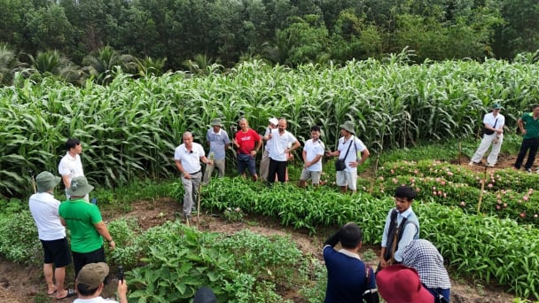 Sản Việt Farm - điểm sáng nông nghiệp hữu cơ tuần hoàn kết hợp du lịch