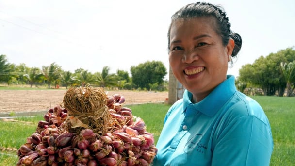 The first farmer to export Ninh Thuan purple shallots