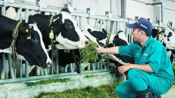 Dairy industry aims for raw material self-sufficiency and sustainable development
