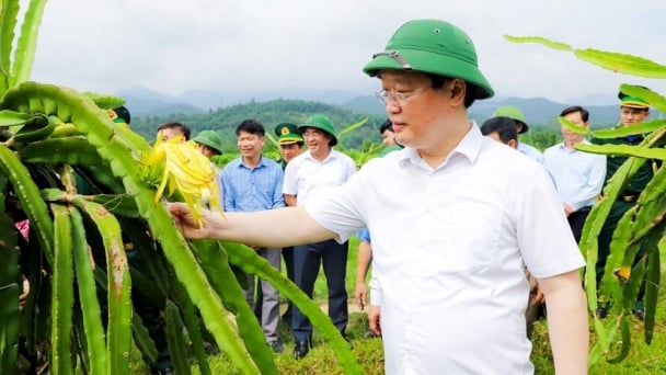 Agriculture and environment driving green growth