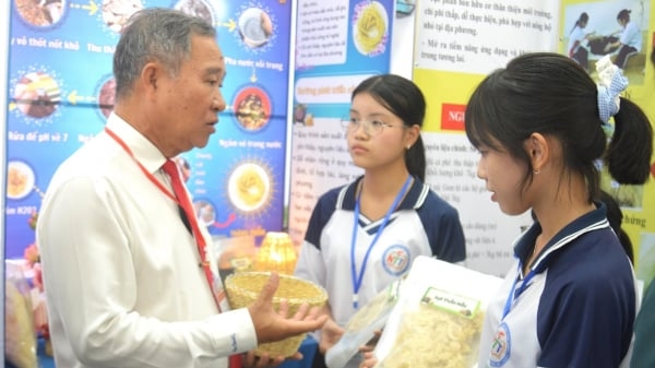 Trao 236 giải Cuộc thi Nghiên cứu khoa học kỹ thuật dành cho học sinh