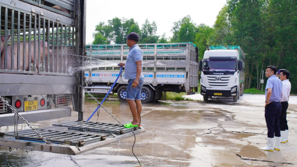 Siết giết mổ, kiểm dịch động vật từ cơ sở chăn nuôi