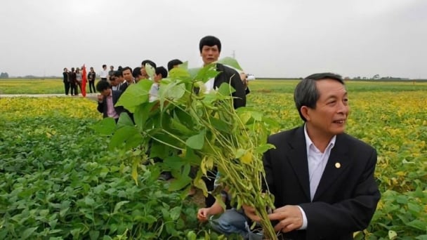 Đừng để 'hạt ngọc vàng' bị bỏ quên trên cánh đồng vụ đông