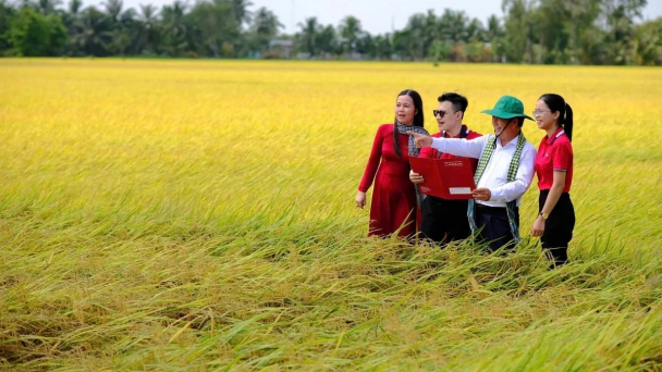 Cần hệ sinh thái tài chính toàn diện cho nông nghiệp bền vững