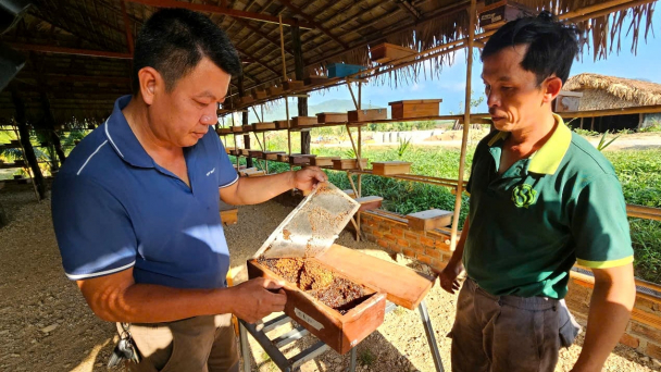 Thu quả ngọt sau 7 năm kiên trì làm trang trại tuần hoàn quy mô 120ha