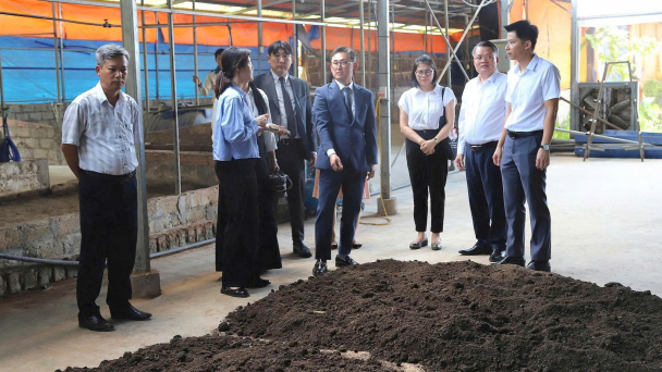 Hải Phòng hợp tác với đối tác Hàn Quốc xử lý rác hữu cơ
