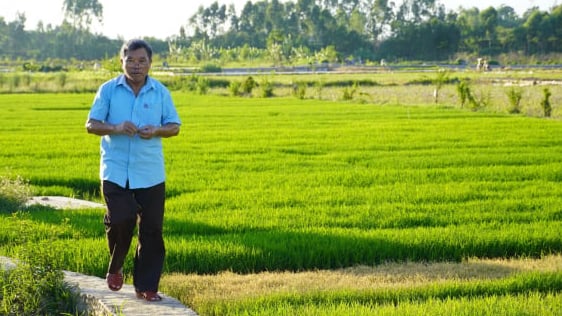 Người 'thầy thuốc' của đồng ruộng