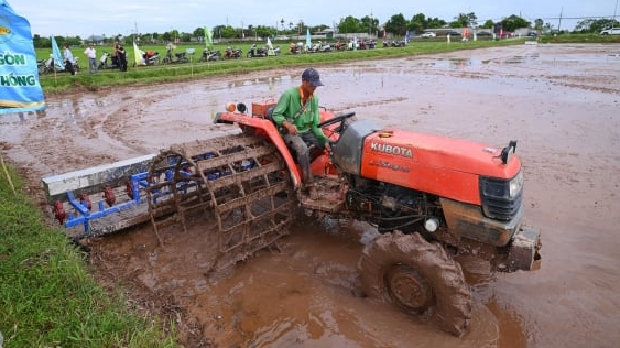 Các doanh nghiệp chung tay canh tác lúa giảm phát thải tại Hà Nội