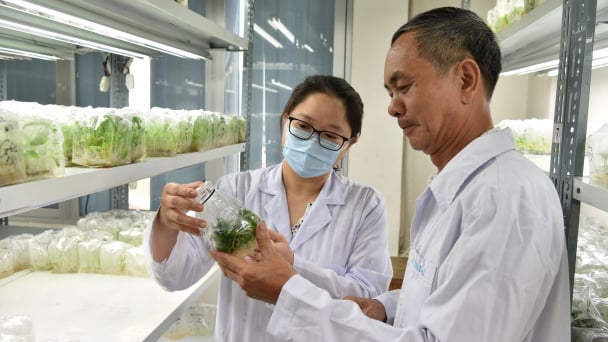 Nhìn thẳng vào ‘sức khỏe’ nhà khoa học: [Bài 2] Chuyện Phòng thí nghiệm trọng điểm