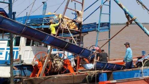 Cà Mau: Cần kiểm soát tàu cá triệt để hơn
