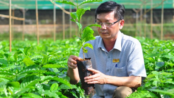 Địa chỉ cung cấp giống uy tín 'đau đầu' vì bị đội lốt thương hiệu