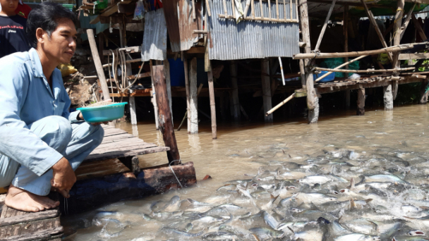 Sức sống những dòng sông