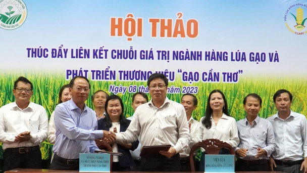Xây dựng hợp đồng điện tử để giải quyết tình trạng bẻ kèo, bỏ cọc