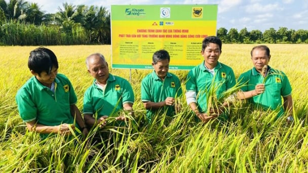 4 doanh nghiệp lớn hợp sức triển khai canh tác lúa thông minh