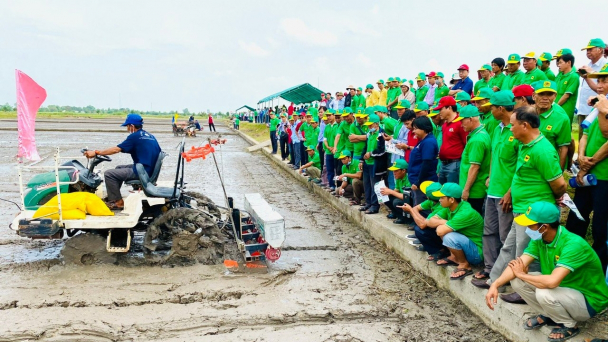 Giải pháp sạ cụm với canh tác lúa chất lượng cao, phát thải thấp ở ĐBSCL