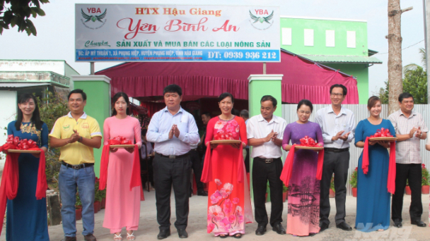 Khẳng định vai trò tiên phong liên kết từ HTX