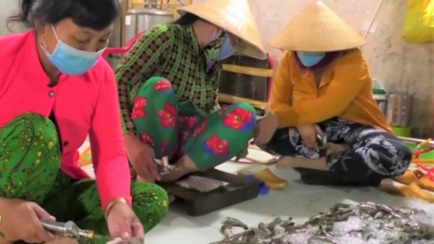 Mở cao điểm kiểm soát, ngăn chặn hành vi đưa tạp chất vào tôm