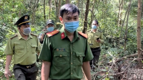 Phát hiện nhiều vi phạm đất rừng tại Phú Quốc