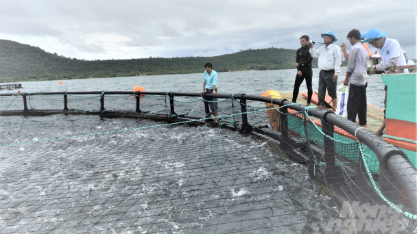 Kiên Giang dự kiến giảm sản lượng thủy sản 40.000 tấn
