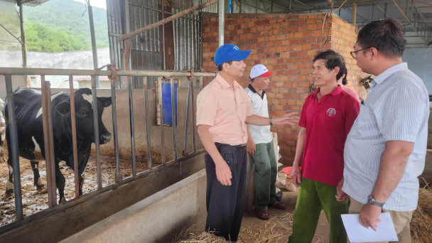 An toàn sinh học: Biện pháp hàng đầu đối với bò sữa bị tiêu chảy