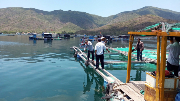 Hàng chục hộ dân ở Vạn Ninh học bảo vệ môi trường vùng nuôi thủy sản