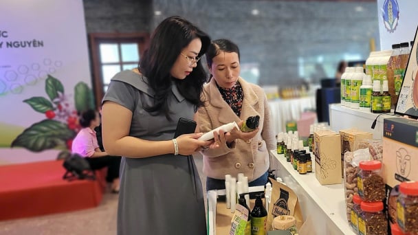 Thúc đẩy thương mại điện tử, đưa nông sản chủ lực vươn xa