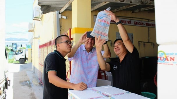 Thủ phủ tôm giống công nghệ cao: [Bài 4] Đầu tư công nghệ việc không thể không làm